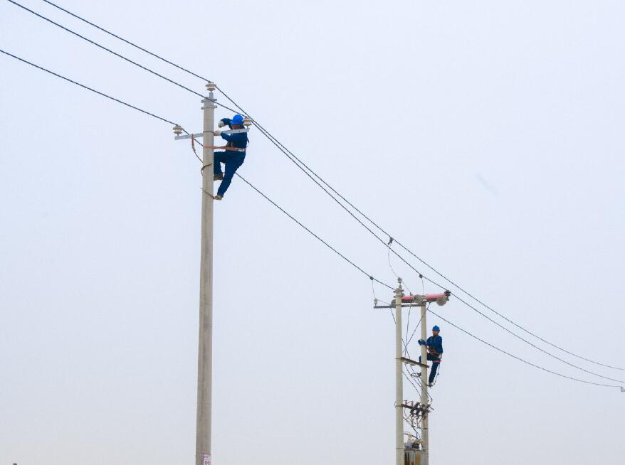 阿拉善供電公司：電網(wǎng)健康“體檢”，從登桿開始