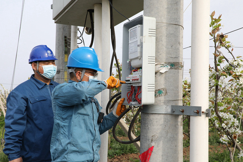 國網(wǎng)諸城市供電公司電力足，千畝梨園花正濃