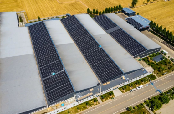 分布式光伏助力企業(yè)低碳轉型！麥田里的陽光工廠，年均生產108萬度綠電！