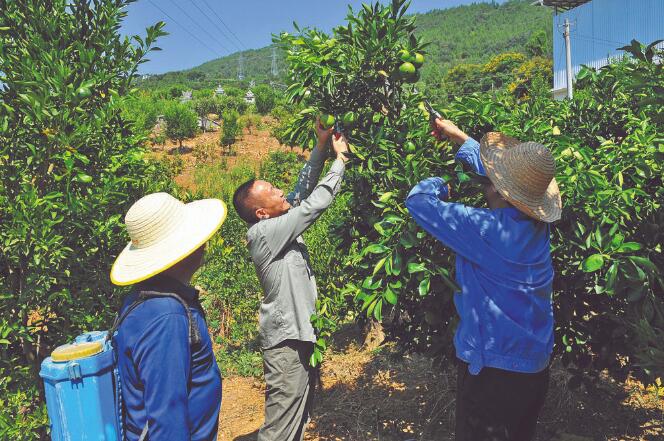 王國洲：把村事當家事，把村民當親人