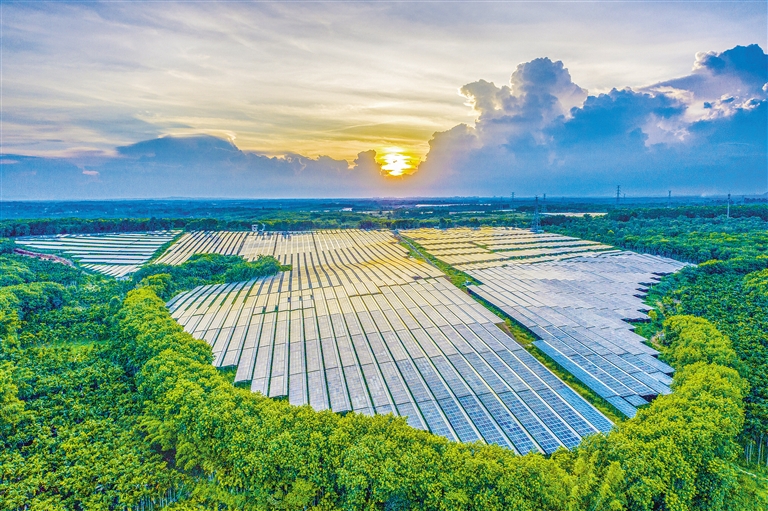 海南電網(wǎng)公司加快構(gòu)建現(xiàn)代供電服務(wù)體系，驅(qū)動(dòng)鄉(xiāng)村振興電力引擎