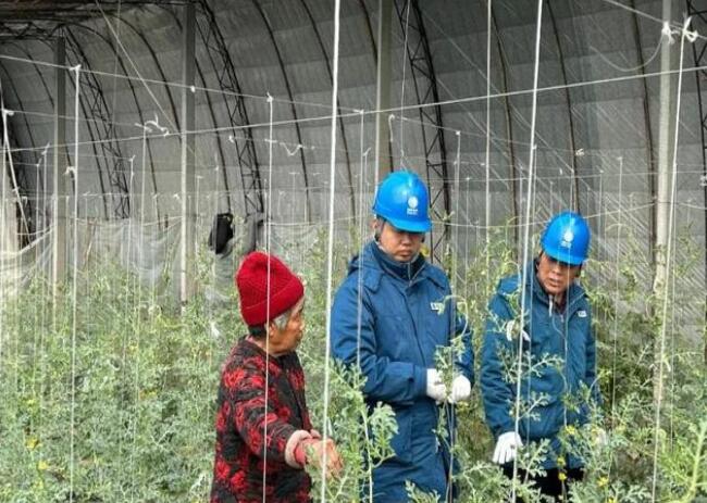 山東惠民供電公司：走訪種植大棚，優(yōu)化農業(yè)營商環(huán)境