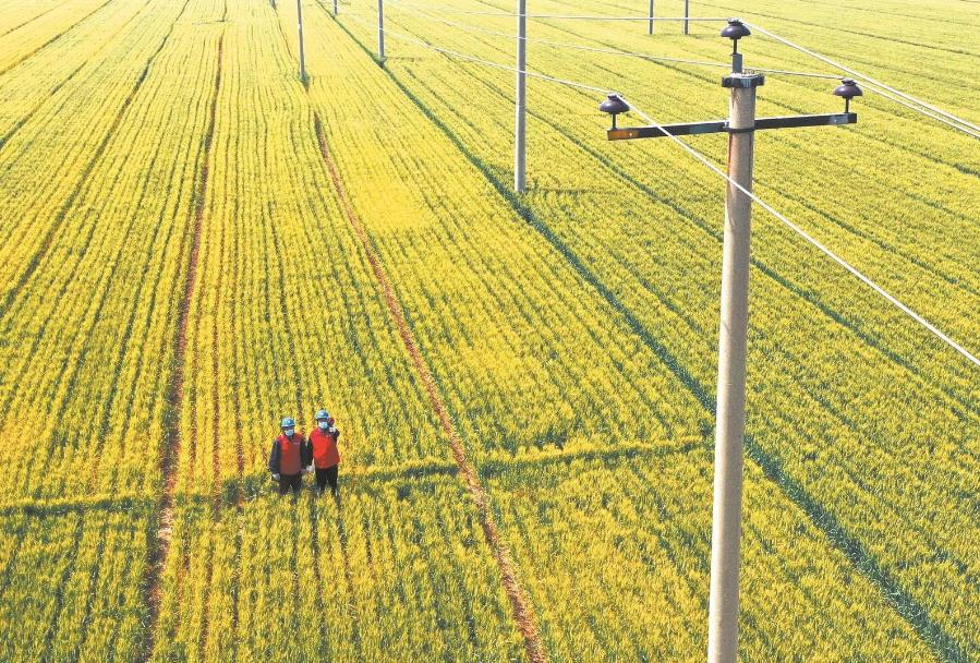 建立服務臺賬，精準了解村民用電需求