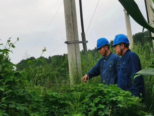 國網(wǎng)長春供電公司積極應(yīng)對極端天氣，確保線路設(shè)備穩(wěn)定運(yùn)行