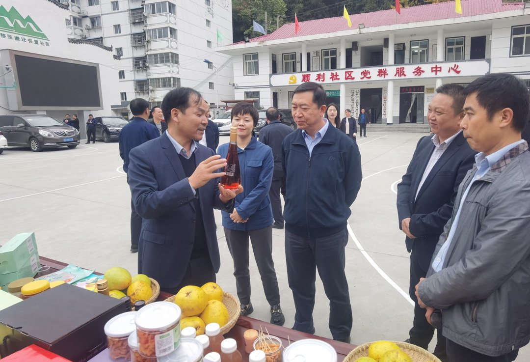 中核集團(tuán)總經(jīng)理、黨組副書記顧軍赴陜西白河、旬陽調(diào)研鄉(xiāng)村振興工作