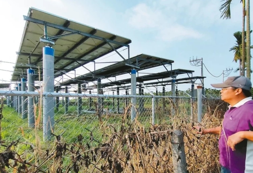 臺(tái)媒：農(nóng)田“種電”讓農(nóng)民苦不堪言，島內(nèi)面臨農(nóng)電兩失困境