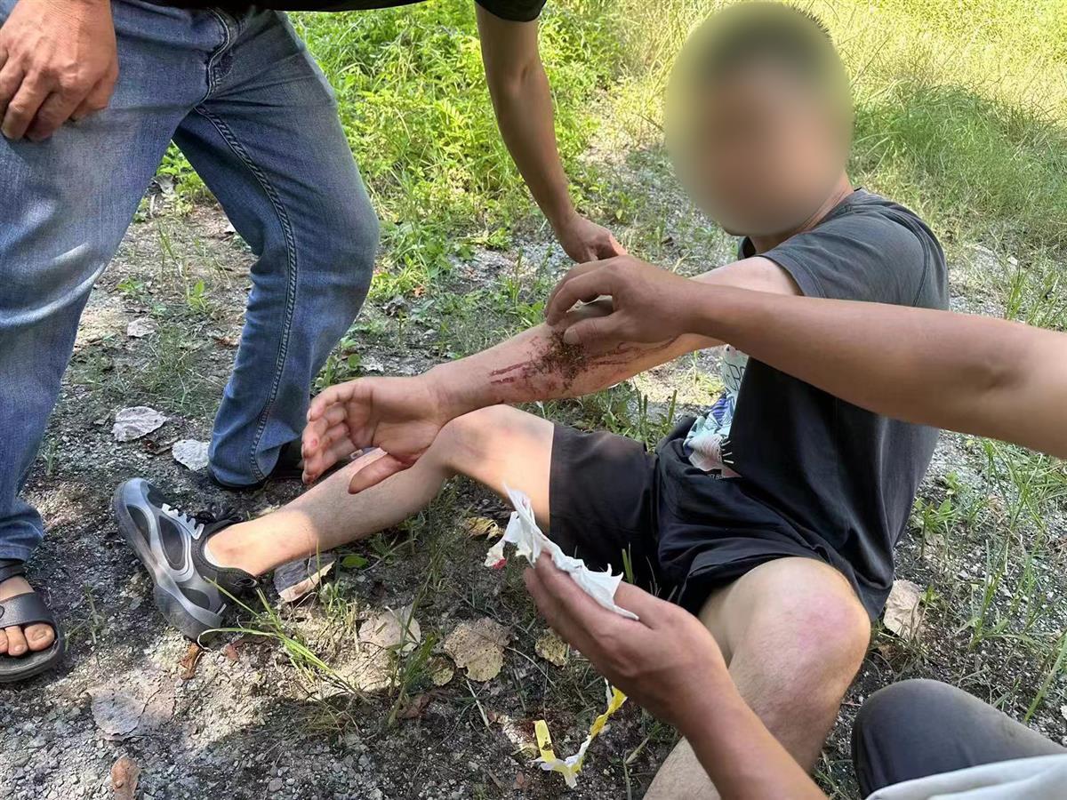 男子私設電網(wǎng)30余米，沒捕獲獵物卻電傷路人被刑拘